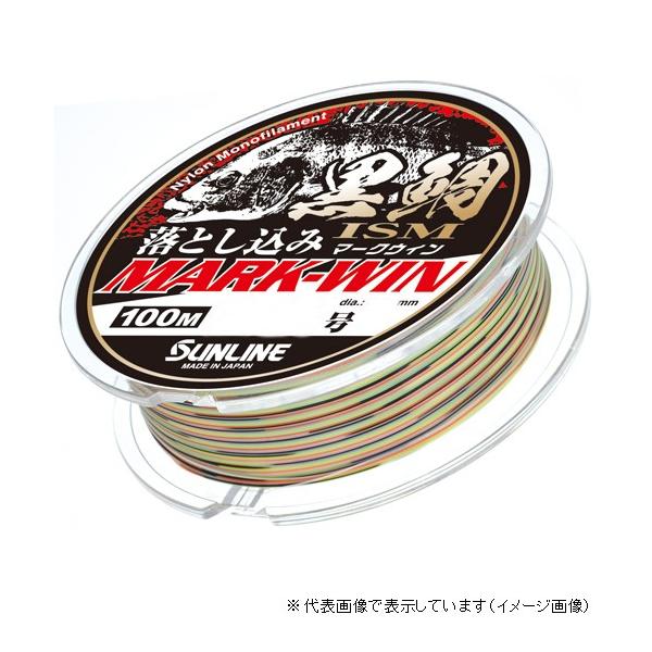 �T�����C�� ����ISM �������� MARK-WIN 100M 2.5�� ���C��