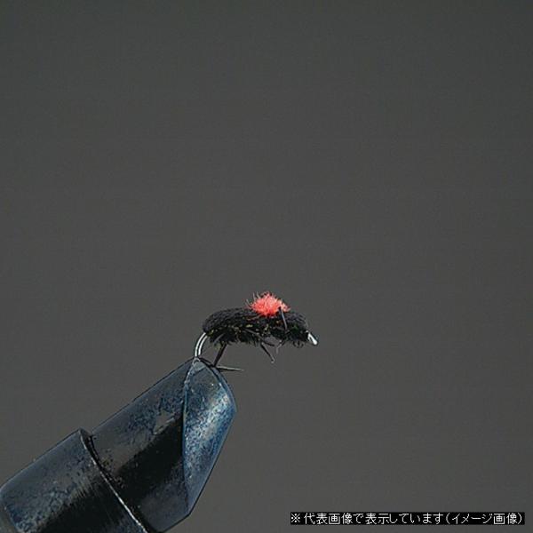 �y�����z�o���[�q���@�����i�h���C�t���C�@�b�n�l�o�k�d�s�d�@�e�k�x�@�c�Q�P�@�t�H�[���r�[�g�� �t���C�p�i