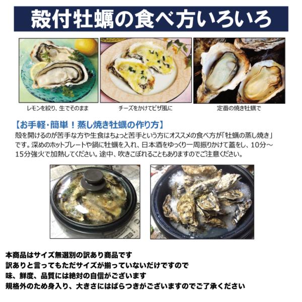 牡蠣 訳あり 送料無料 宮城産 殻付き牡蠣 ５ｋｇ 生食 Cianilugano Ch