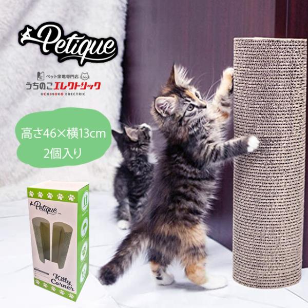 catfamily_p-kittycorner