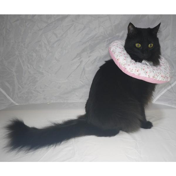 y GUxXJ[ L p Orߖh~ ڂ̎ h[ic^Cv փ^Cv