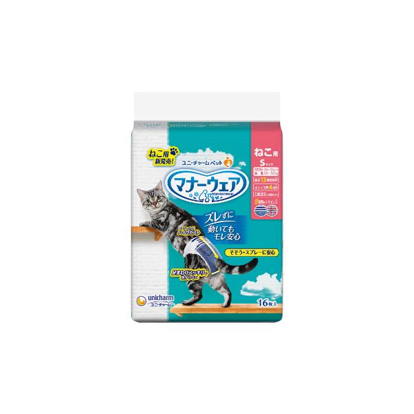 jE`[ }i[EFA ˂p STCY 16