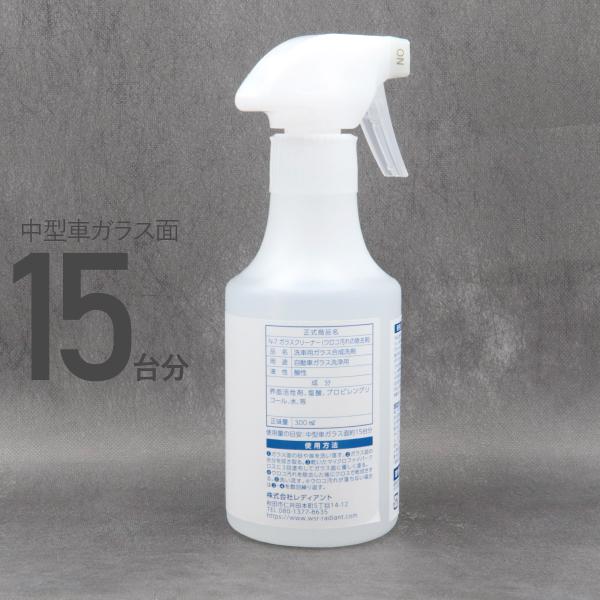 cavatina_needa-007_2_d_20250731111633