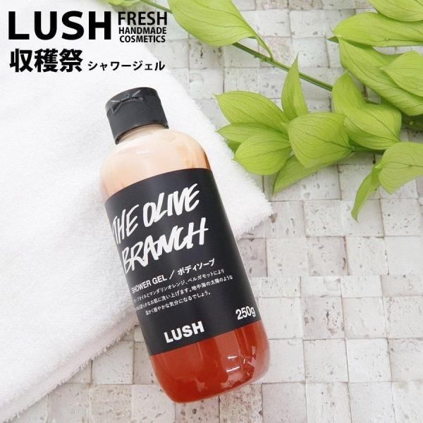 ラッシュ 石鹸 石鹸 ボディソープの人気商品 通販 価格比較 価格 Com