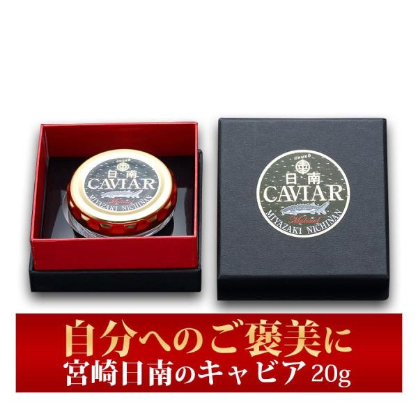 ギフト　日南キャビア 20g 100%宮崎県日南産 無添加で濃厚な国産キャビア 大切な方へのプレゼントに喜ばれます　業務用にもオススメ