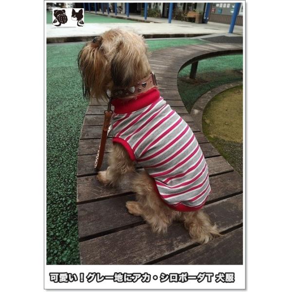 犬服オリジナル グレー地にアカシロボーダーtシャツ 犬服通販 ボストンテリア フレンチブルドッグ Buyee Buyee Japanese Proxy Service Buy From Japan Bot Online
