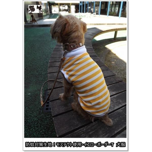 犬服オリジナル フィラリア対策 防蚊加工生地 イエローボーダーtシャツ 犬服通販 ボストンテリア フレンチブルドッグ等 Buyee 日本代购平台 产品购物网站大全 Buyee一站式代购 Bot Online