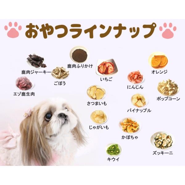 いちごチップス 犬のおやつ 無添加 犬のおやつ 果物 完全無添加 ノンフライ ノンオイル ノンシュガー ドライチップス アレルギーのあるわんちゃんに 8g Buyee Buyee Japanese Proxy Service Buy From Japan Bot Online