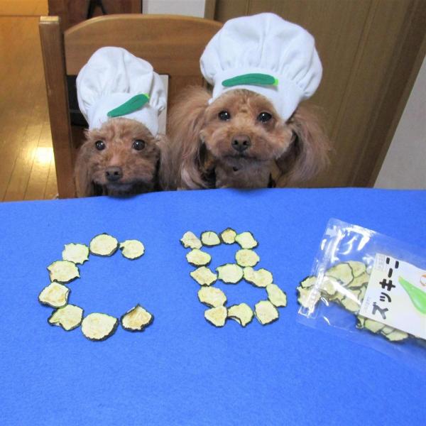 ズッキーニ チップス 完全無添加 犬 おやつ 野菜 北海道産 ノンフライ ノンオイル ノンシュガー ドライチップス アレルギーのあるわんちゃんに g Buyee Buyee 日本の通販商品 オークションの代理入札 代理購入