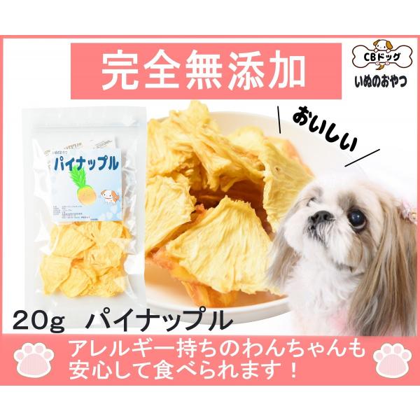 パイナップルチップス 犬のおやつ 無添加 犬のおやつ 果物 完全無添加 ノンフライ ノンオイル ノンシュガー アレルギーのあるわんちゃんに g Buyee Buyee Japanese Proxy Service Buy From Japan Bot Online
