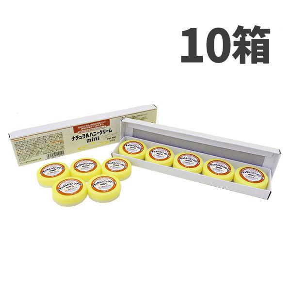 ܂Ƃߔ Z[i A^ i`nj[N[ 7gx5 10(1990~)313