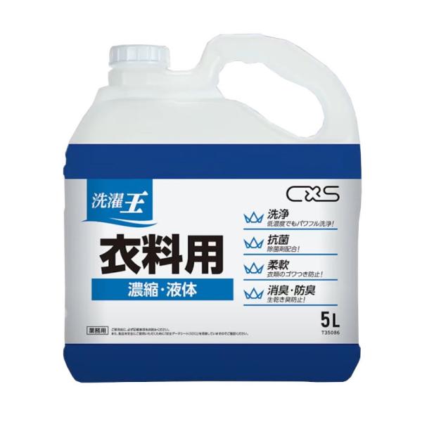 だいぜんさま専用 CxS シーバイエス 洗濯王 衣料用 5L T35086 : CCnet 快適バリューSHOP