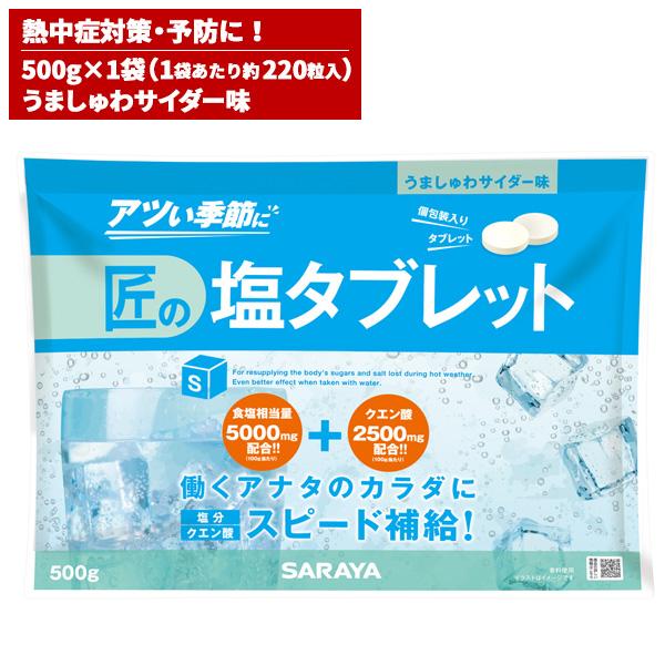 サラヤ Gains 匠の塩飴 スイカ味 750g 27729 Sayebangoldhotel Com