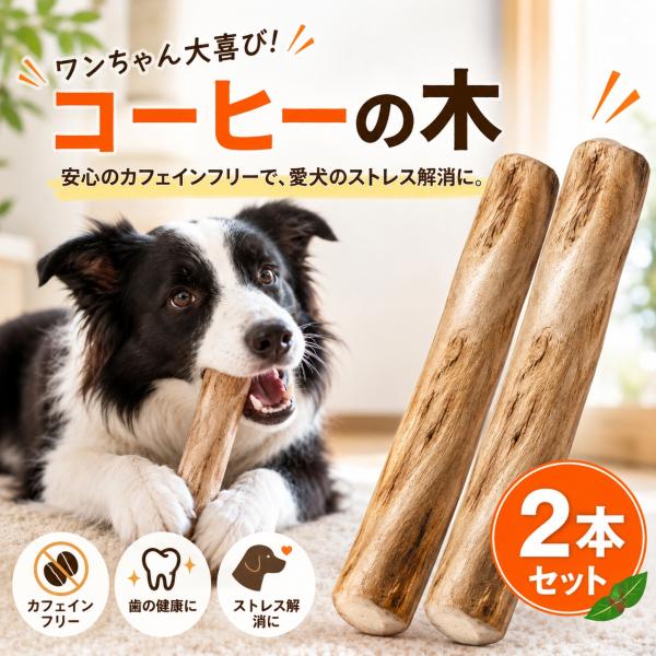 コーヒーの木2個セット 小型犬 噛むおもちゃ 天然素材 ナチュラル 無添加カフェインフリー デンタルケア ストレス解消 犬用おもちゃ  歯磨き しつけ 送料無料