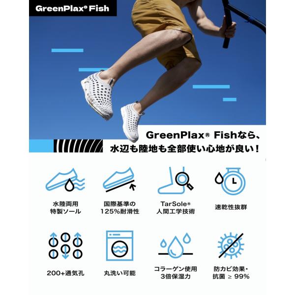 ccilu_fish-jp_1_d_20230830165427