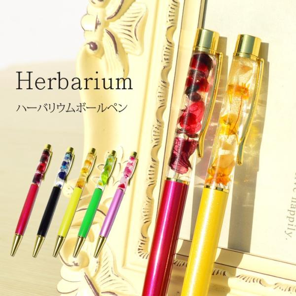 p[Xg[ u n[oE {[y Iׂ5 VR  v[g Mtg ̓ [֑