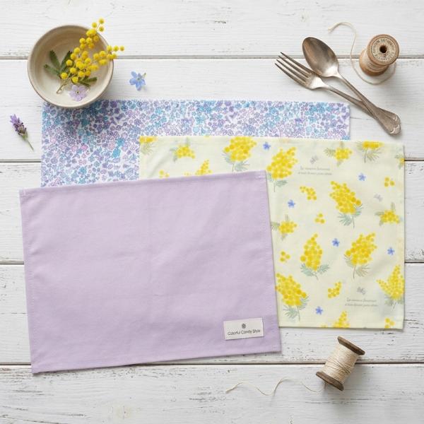 ccstyle_cgn36_3_d_20260319155408