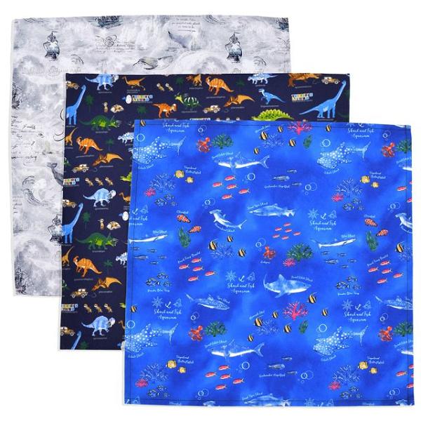 221A 海恐竜 サックス ランチョンマット 1枚 40×50 小学校 給食ナ