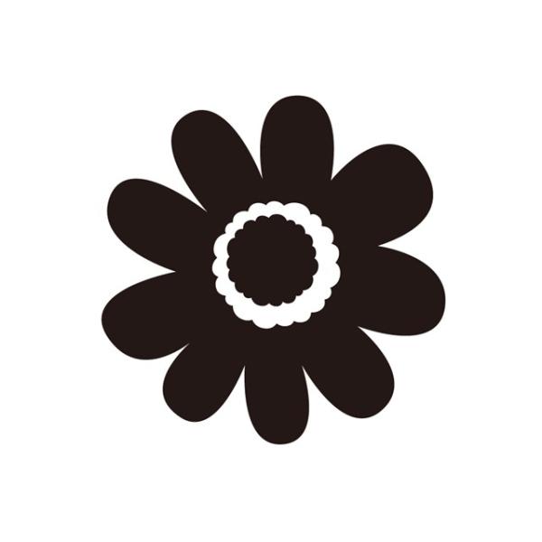 OX^v SX^_[h 15{Zbg fCW[  w OX^v  Ȃ܂X^v q w