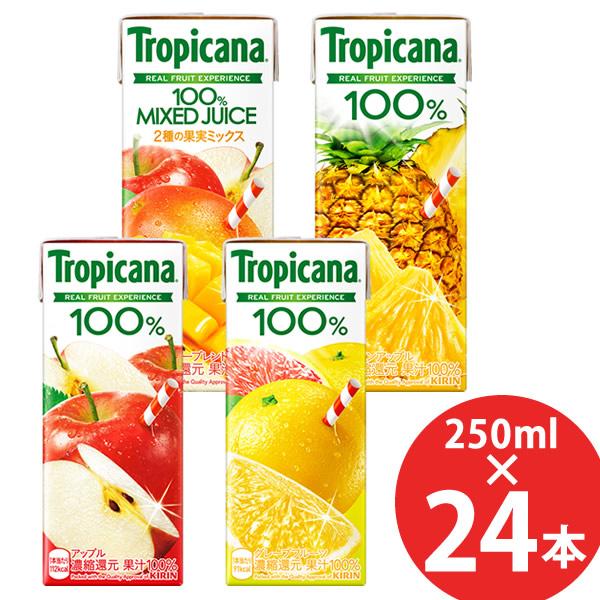 キリン トロピカーナ100% 250ml×24本 紙パック (送料無料) KIRIN 果汁100％ ジュース  アップル フルーツ