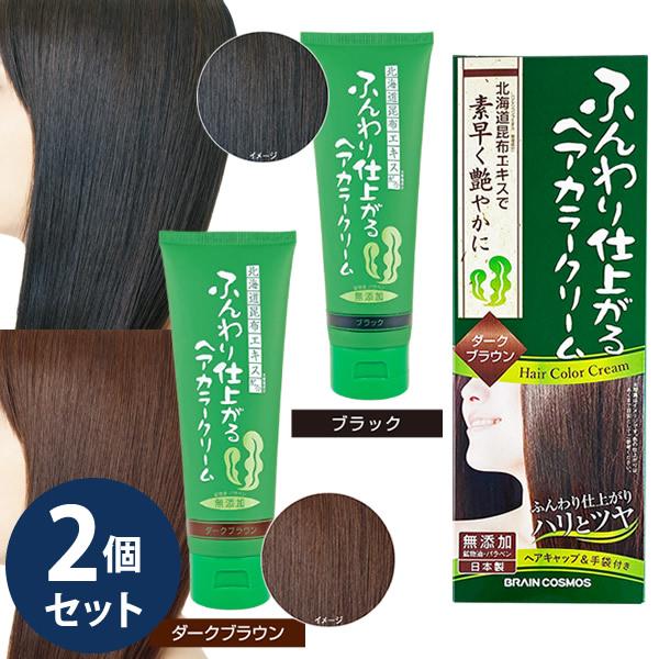 ふんわり仕上がるヘアカラークリーム 200g 2個セット (全国一律送料無料) 白髪染め ヘアカラー ヘアクリーム 利尻昆布 毛染め 自宅 ヘアケア セルフ ケラチン