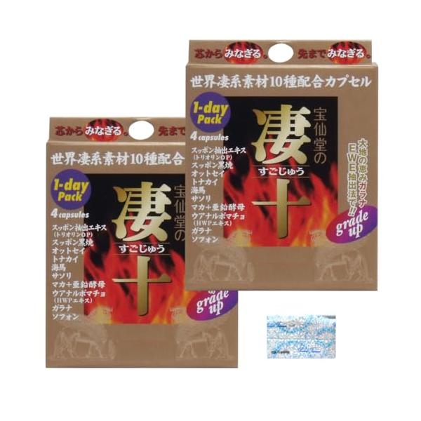 宝仙堂 凄十 1DAYパック (4粒入)×2箱セット 栄養サポート 健康補助食品 オリジナルポケットティッシュ付き