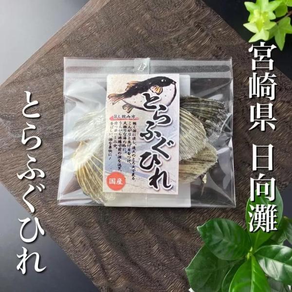 『とらふぐひれ』が酒を旨くする。国産の『とらふぐ』を使用しています。高級料理屋さんでも取扱われ、サイズも大きく、とても綺麗なふぐひれです。専門メーカーで丁寧に乾燥加工を行っているため、ひれ本来の味・香りを最大限に楽しめます。・・・【ふぐひれ...
