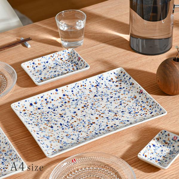 cds-r_itotplate-a4-1065511