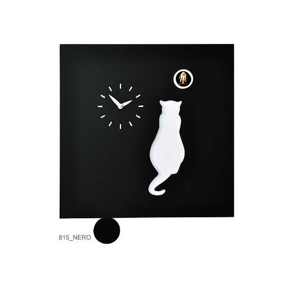 JbR[Ďm点܂Iv@JbR[NbN@u|pNbN@C^AEsfB[j  Cat815