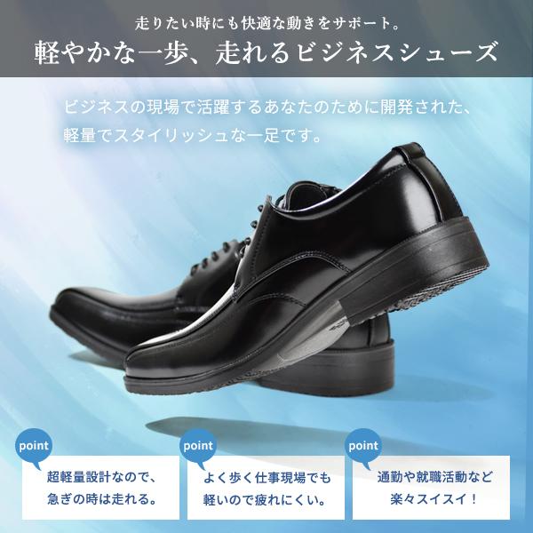 cedalet_wilson90_4_d_20241116042205