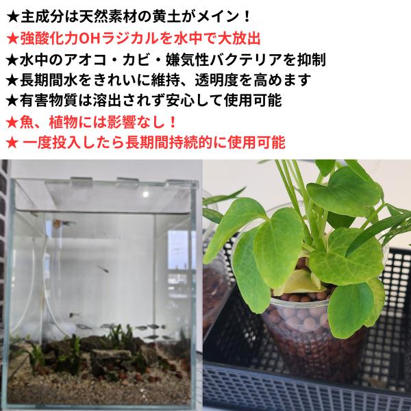 ★お得10Kg 池・水槽・貯水タンクのアオコ 悪臭 ヌメリ対策に！薬不要の水質改善 きよみずボール レジオネラ対策にも