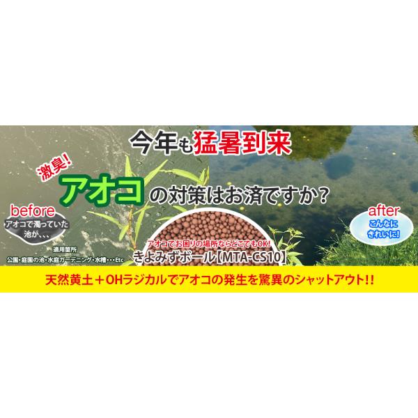 ★業務用25Kg 大型池・養殖場・ドブ・貯水槽のアオコ 悪臭 ヌメリ対策に！薬不要 水質改善 きよみずボール 大容量タイプ