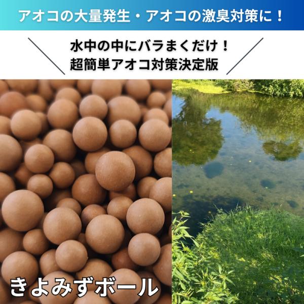 ★お得3Kg 猛暑で大量発生する池・水槽のアオコ・悪臭・ヌメリ対策に！薬不要の水質改善 きよみずボール アンモニア分解促進