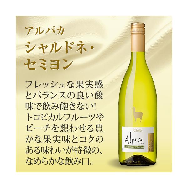 �����C�� 12�{ �Z�b�g �T���^ �w���i �A���p�J �V�����h�l �Z�~���� 750ml �`�� 1�{������547�~(�ō�) ��������  ITO �N�[���֕s�� ���i�摜3