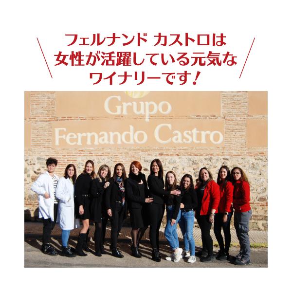 ���C�� �����C���Z�b�g �� �{�b�N�X���C�� �i�� �����C�� 4�{ �o���f�����e �_�[�N ���b�h 3l 4�� �X�y�C�� �������� KOB ���i�摜5