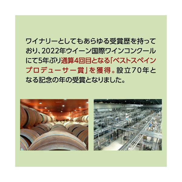 ���[���C�� �A �Z�b�g �X�y�C���Y �X�p�[�N�����O �v�����F�b�g ���[ �Z�b�R 750ml 12�{�� �P�[�X �������� ��S ���i�摜5