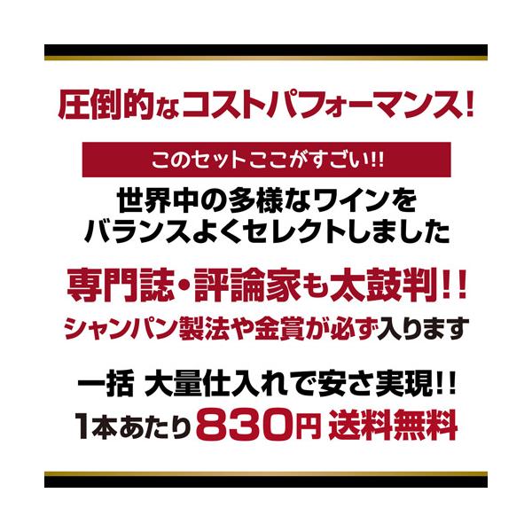 ���C���Z�b�g �X�p�[�N�����O 12�{ +2�{ 750ml �h���A���� ���I �V�����p�����@������ 132�e ���[ �������� �l�^A ���i�摜4
