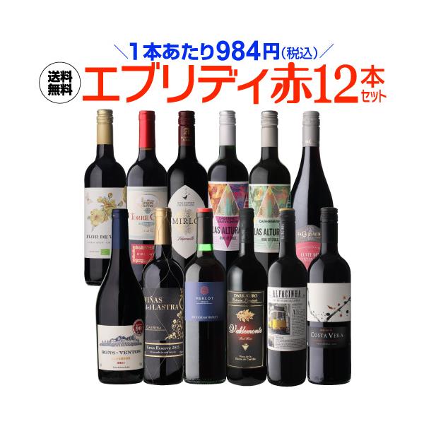 ワイン ワインセット 赤セット 送料無料 エブリデー 赤 12本 25弾 特選 金賞 赤 飲み比べ 格安 浜運A