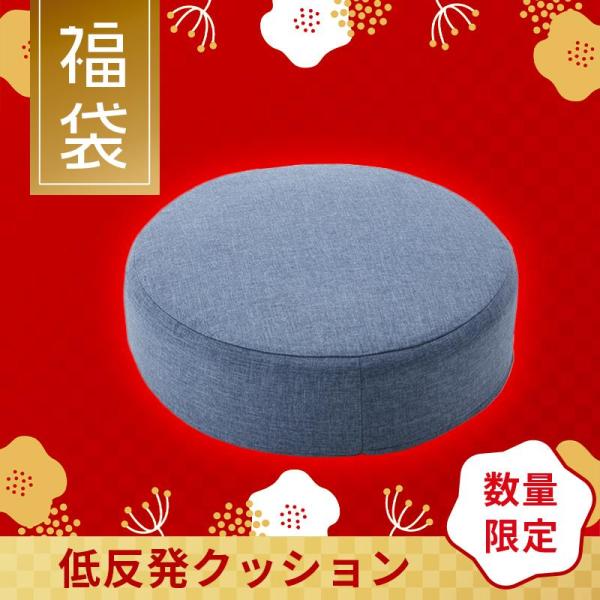 清原クッション！ 未開封！ セルタン 福袋 2026 クッション カバーが洗える 低反発 厚め おしゃれ