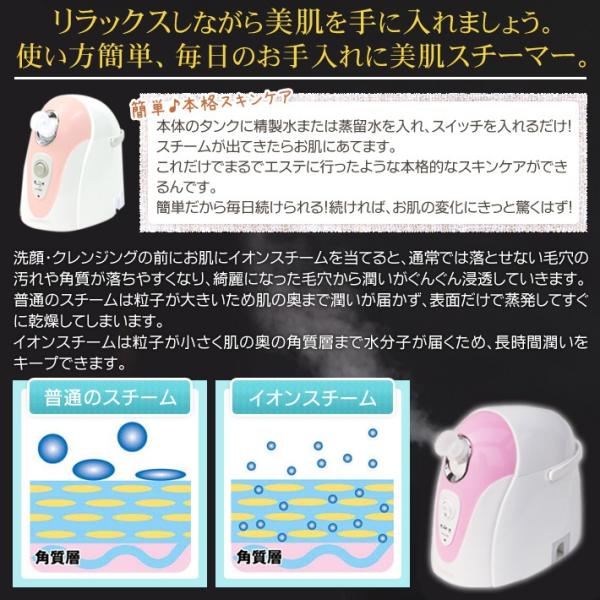 center-shoji_fi-x21_4