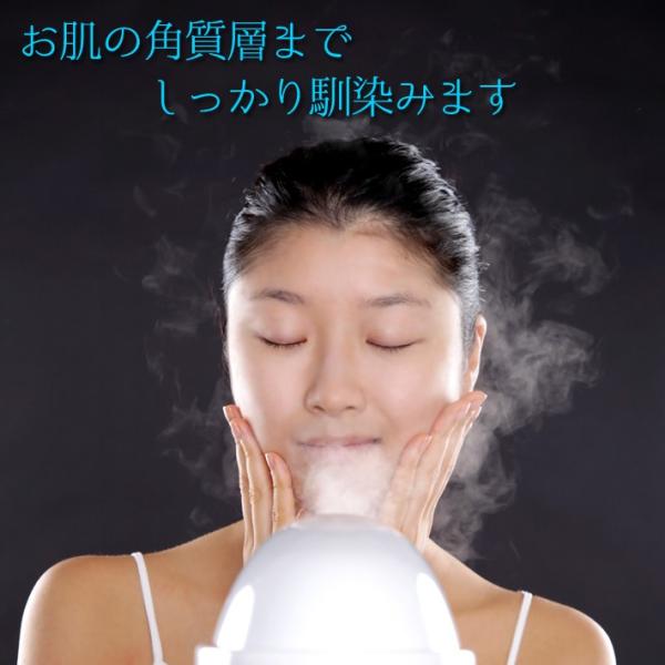 美顔器 イオン導入 スチーム ミスト イオンスキンケア イオン