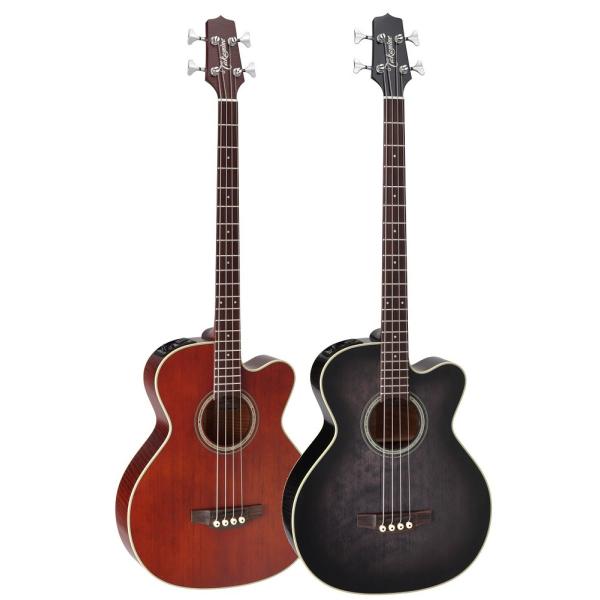 Takamine フレットレス アコースティックギター