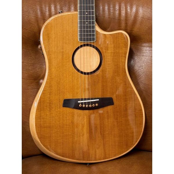 L.R.Baggs AEG-1 TOR トリファイド・シトカ・スプルース Acoustic Electric Guitar アコースティックギター エレアコ
