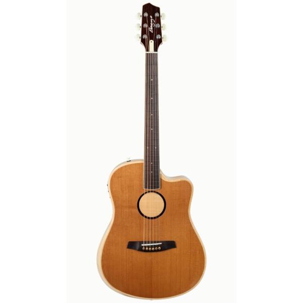 L.R.Baggs AEG-1 TOR トリファイド・シトカ・スプルース Acoustic Electric Guitar アコースティックギター エレアコ 即納可能 送料無料