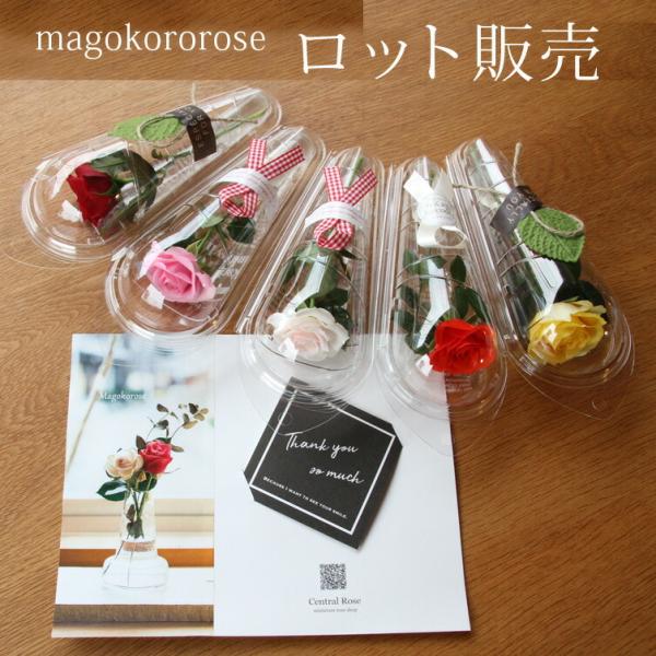 一輪のミニバラと一緒に、日ごろの気持ちやメッセージをお贈りする、メッセージローズです。『ありがとう』『おめでとう』『これからもよろしく！』などのちょっとした心配りで、身近な人やお友達との距離を暖かな関係に築いてくれます。例えば感謝の気持ちを...