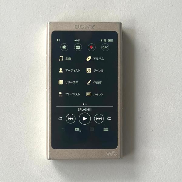 ソニー ウォークマン NW-A46HN : ペールゴールド ソニー ウォークマン NW-A46HN : ペールゴールド Amazon.co.jp