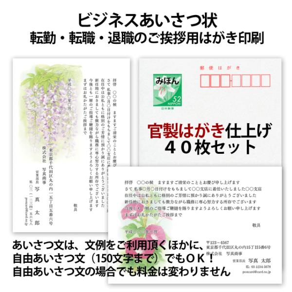 官製はがき デザインの人気商品 通販 価格比較 価格 Com