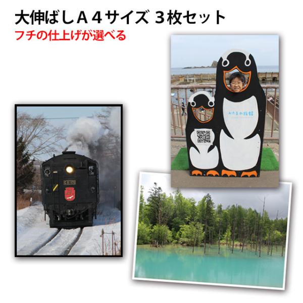 デジタルプリントA4サイズ３枚セット送料無料銀塩印画紙仕上げサイズ：297×210ミリフチ無し・フチあり 選択可フチありの場合、白フチ・黒フチが選べます熟練のオペレーターによる色補正でキレイに仕上げますお届け方法は、日本郵便クリックポスト（...