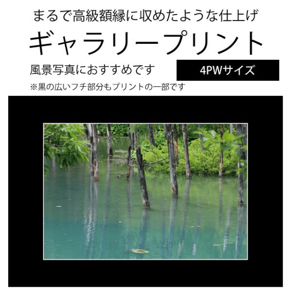 ギャラリープリント 4PWサイズ黒の広フチと細く白いラインで高級額縁風のプリント（黒いフチもプリントの一部です）銀塩プリント光沢仕上げ印画紙サイズ254×365mm画面サイズ182×272mmスマホやデジカメ等の画像からお作りいたしますこの...