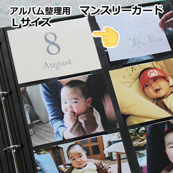 アルバム 整理 カードの人気商品 通販 価格比較 価格 Com